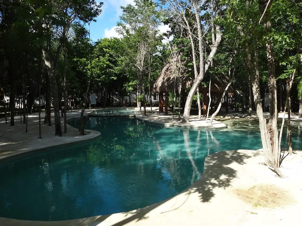 Tropical Paradise Apartment Puerto Morelos