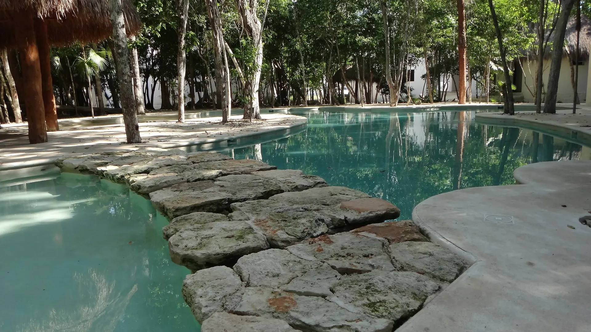 Tropical Paradise Apartment Puerto Morelos