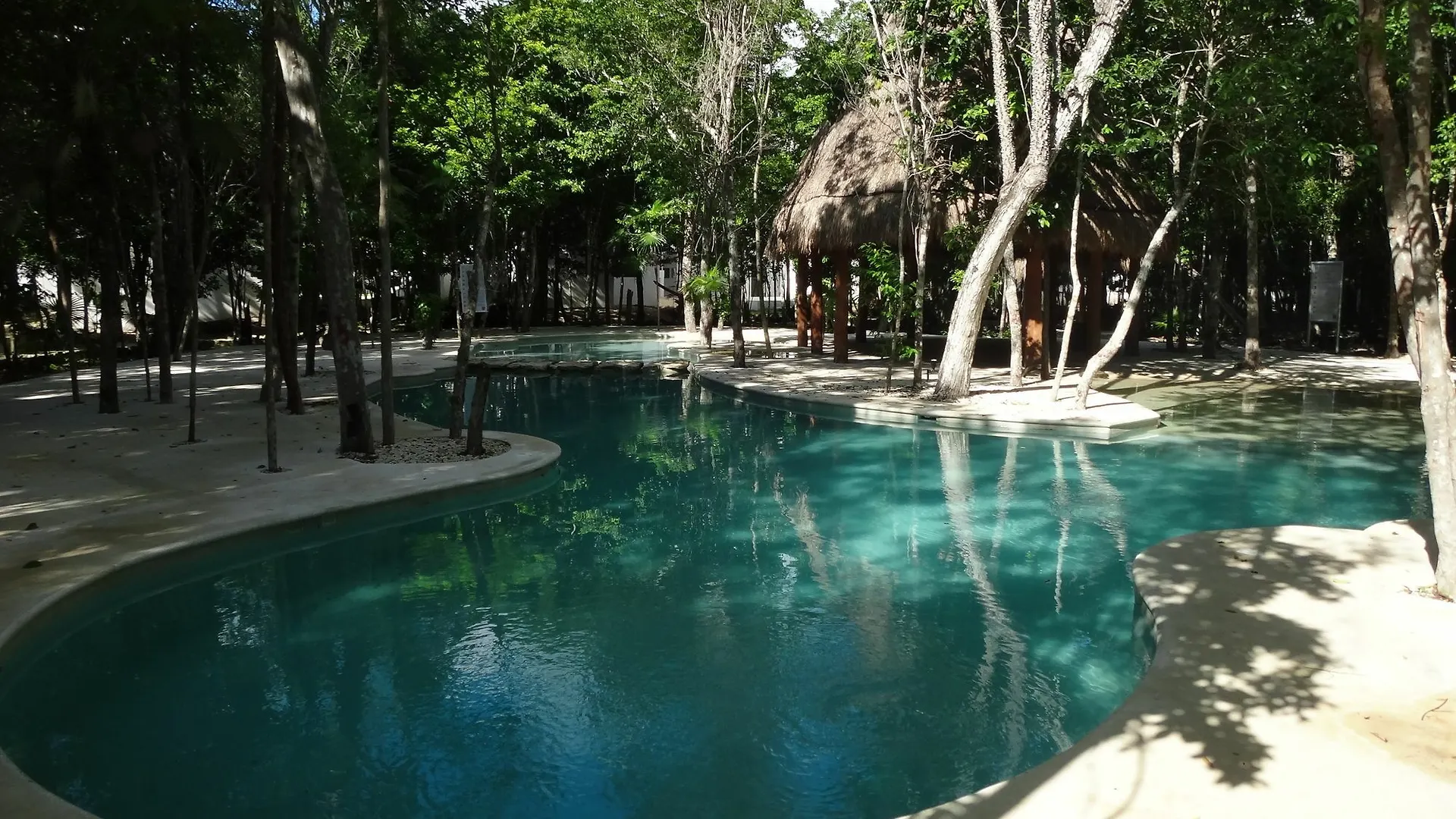 Tropical Paradise Apartment Puerto Morelos