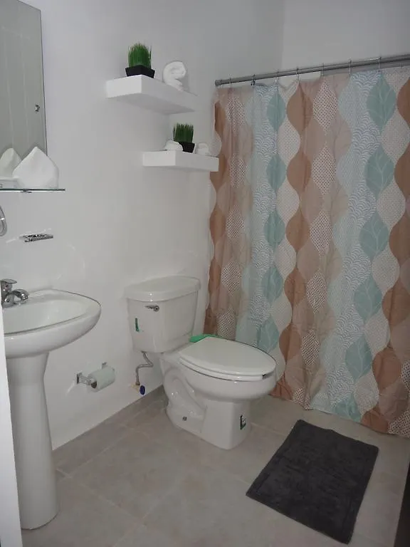 Tropical Paradise Apartment بويرتو موريلوس